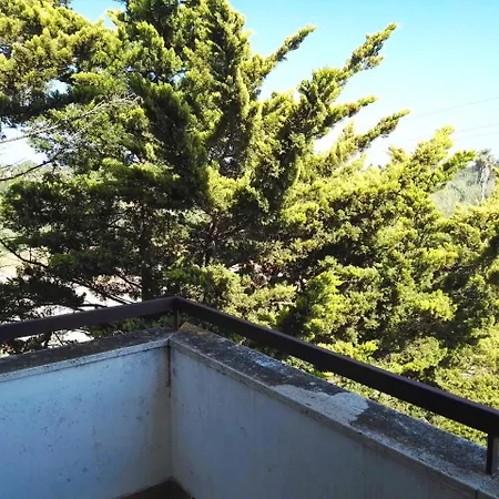 Robinia Baia Verde Gallipoli