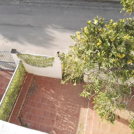 Robinia Baia Verde